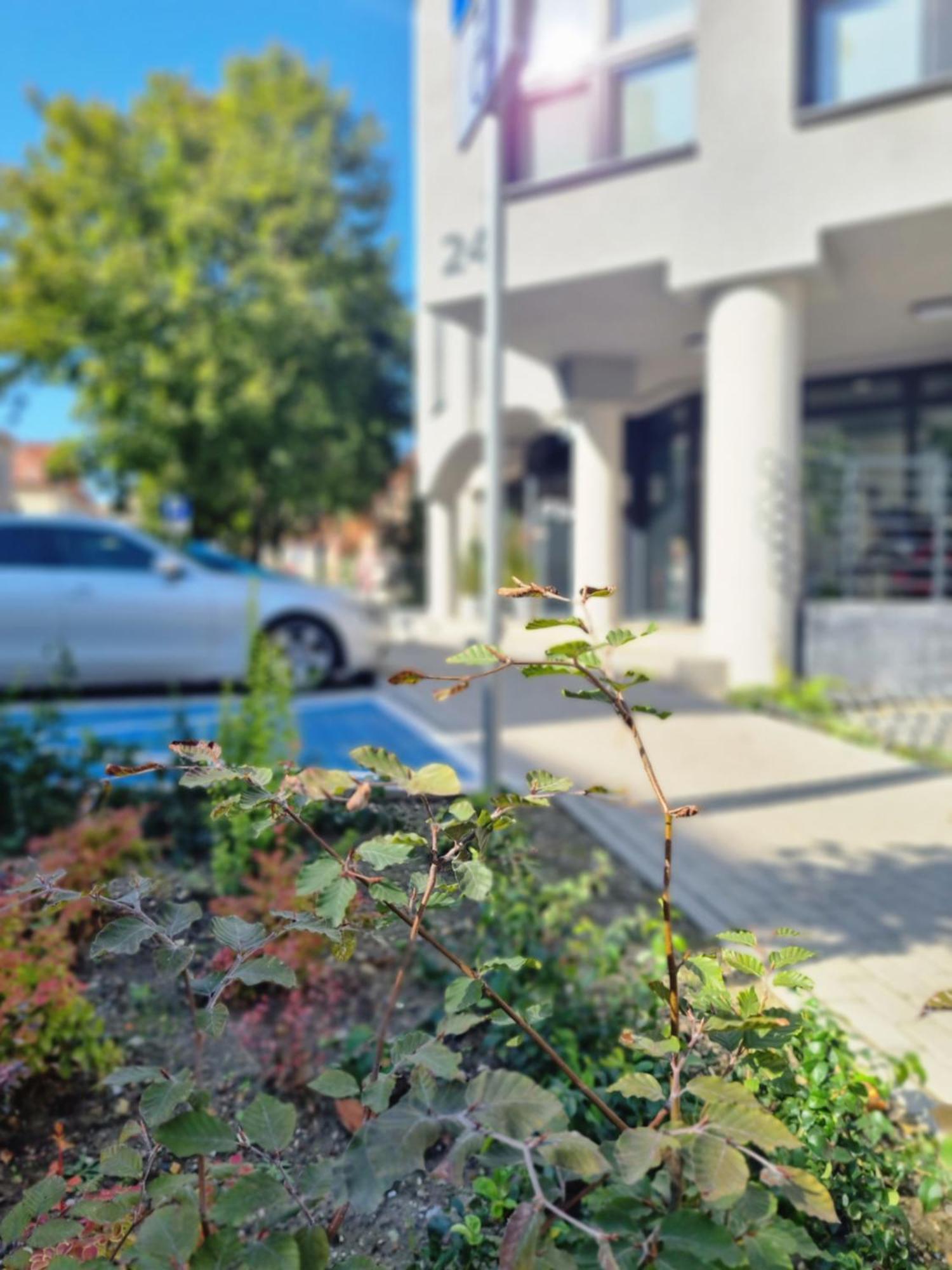 Aparthotel Bukowa Tychy Exterior foto